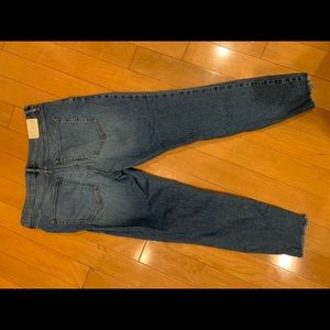 Everlane High Rise Skinny Authentic Stretch Jean